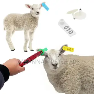 Laser Lettering Goat, Sheep Identification Mark Ear Tags