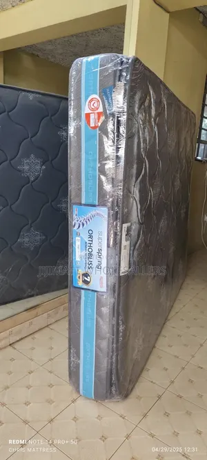 10 Inches Spring/Orthopedics Mattress 5*6