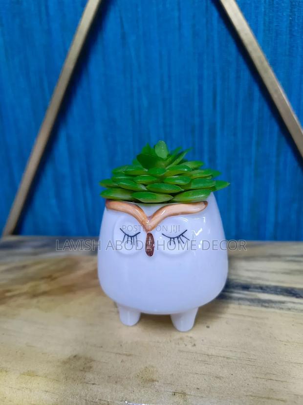 Ceramic Cat Succulent - thumbnail 4