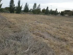Quick Sale 1/8 Victory Gardens Phase 3 Kitengela