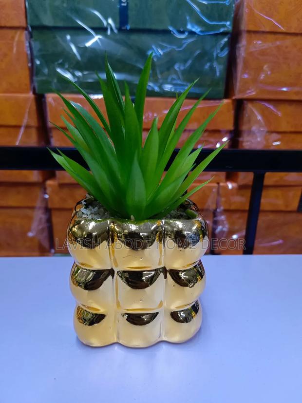 Bubble Gold Succulent - thumbnail 2