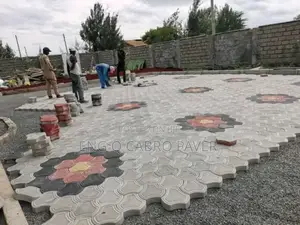 Professional Cabro Paving