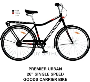 Bike Single Speed With Back Seat