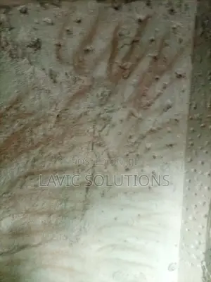 Waterproofing of Flatroofs Basements and Water Tanks