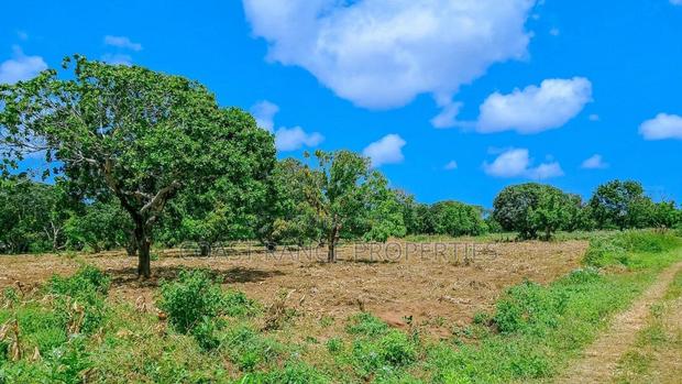 Freehold Title Deeds - main view