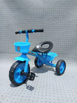 Little Riders’ Tricycle – Built for First Adventures
