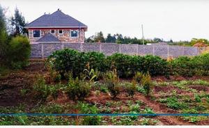 Utawala- Githunguri Area- Plot for Sale Size 100*100 - main view