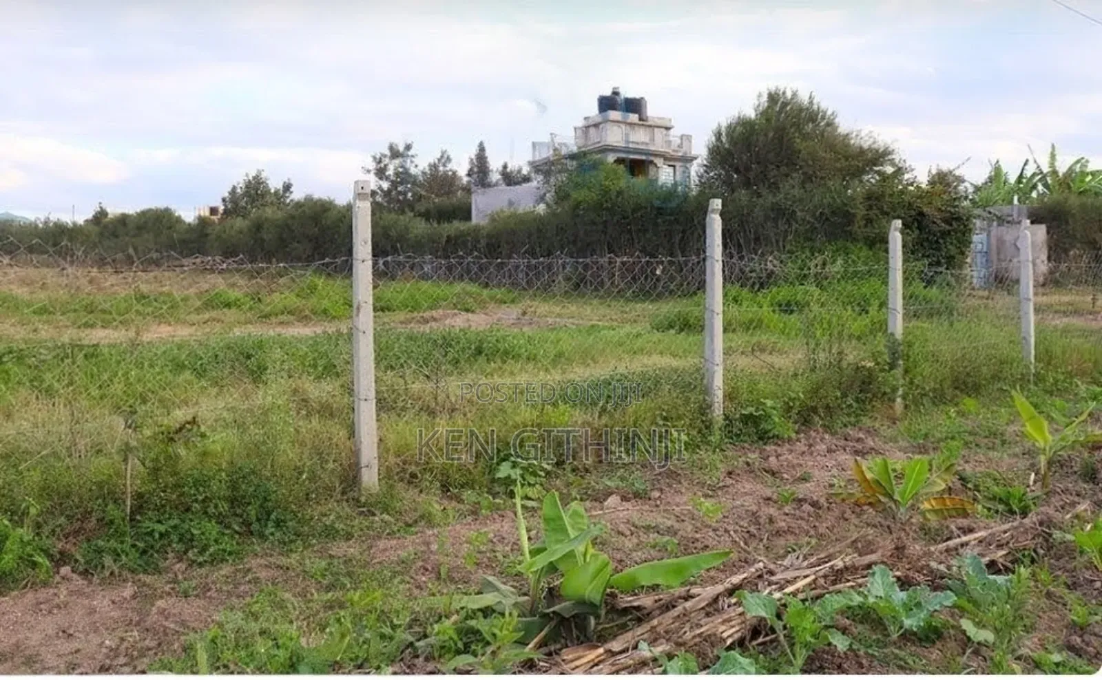 Utawala- Githunguri Area- Plot for Sale Size 100*100