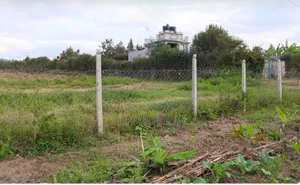 Utawala- Githunguri Area- Plot for Sale Size 100*100