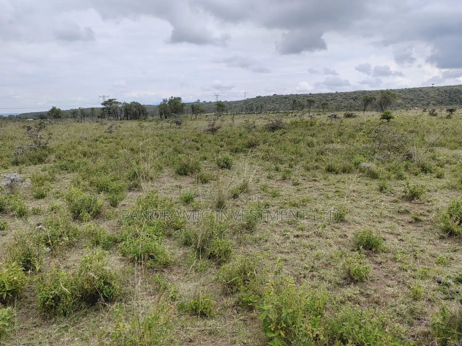 50x100 Plot for Sale in Isinya Kajiado County.