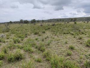 50x100 Plot for Sale in Isinya Kajiado County. - thumbnail 2