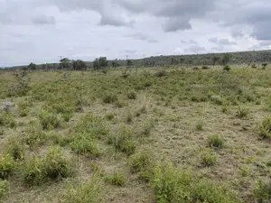 50x100 Plot for Sale in Isinya Kajiado County.