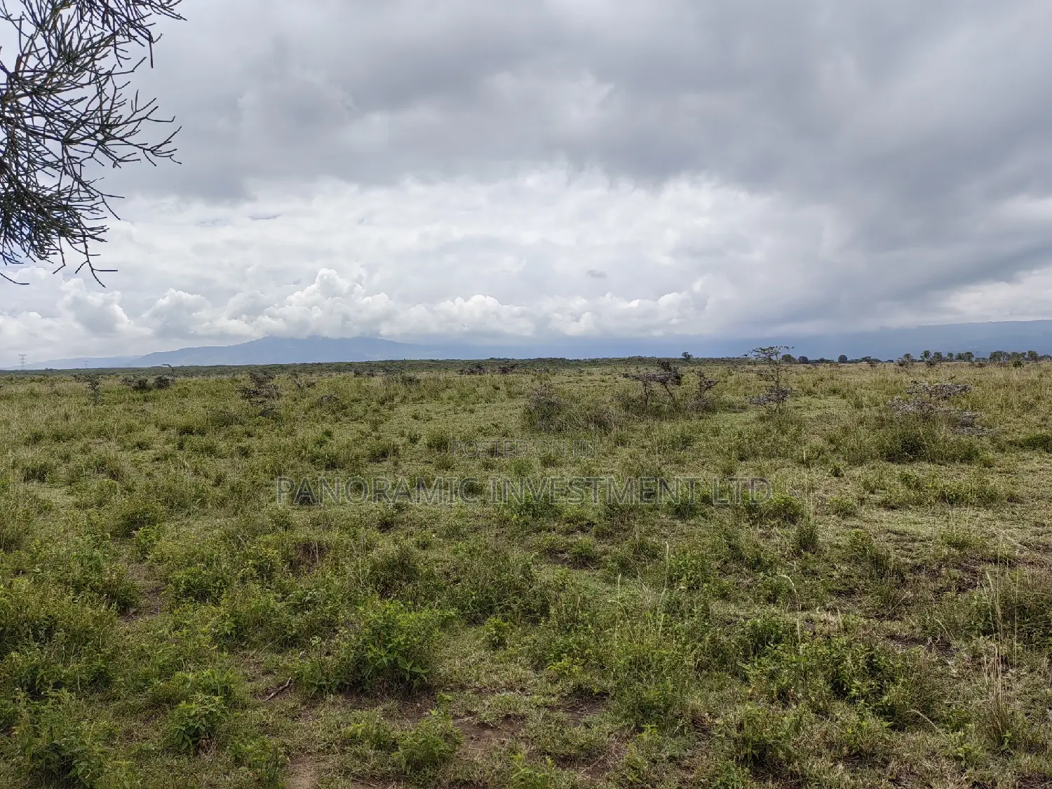 50x100 Plot for Sale in Isinya Kajiado County.