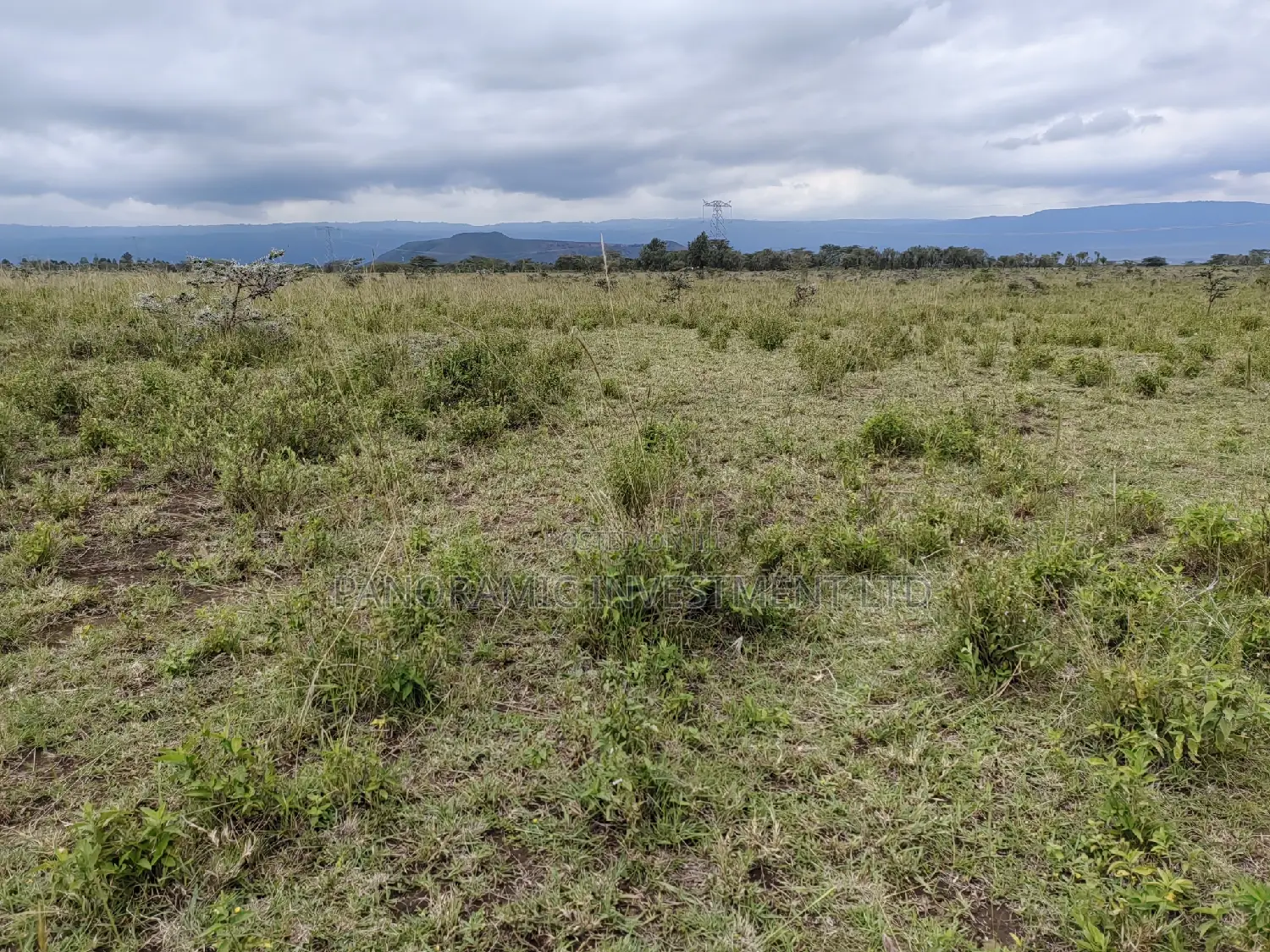 50x100 Plot for Sale in Isinya Kajiado County.