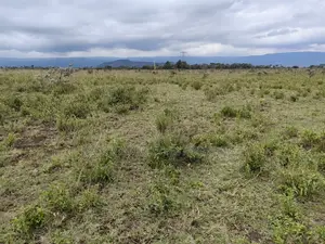 50x100 Plot for Sale in Isinya Kajiado County.
