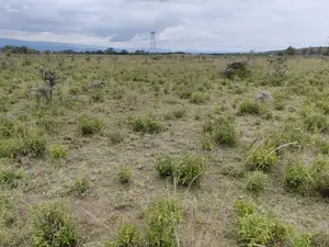 50x100 Plot for Sale in Isinya Kajiado County.