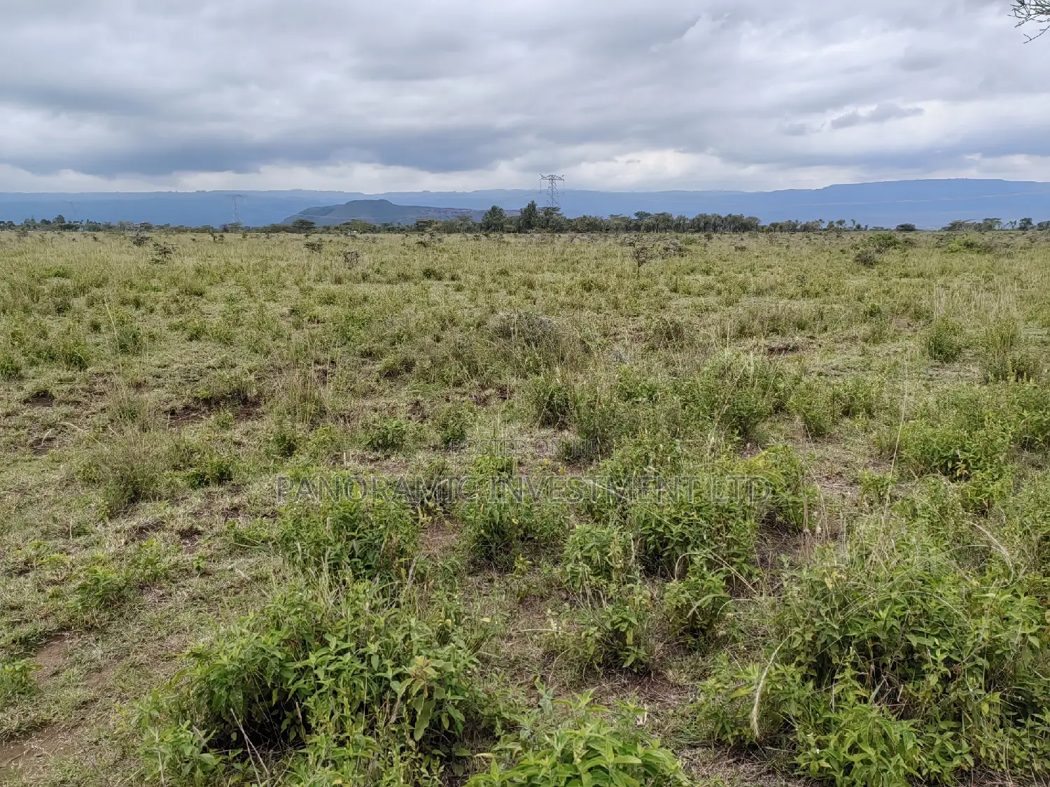 50x100 Plot for Sale in Isinya Kajiado County.