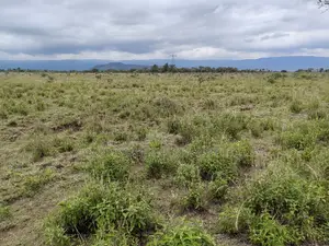 50x100 Plot for Sale in Isinya Kajiado County.