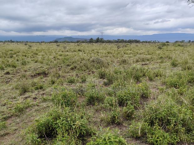 50x100 Plot for Sale in Isinya Kajiado County. - thumbnail 6