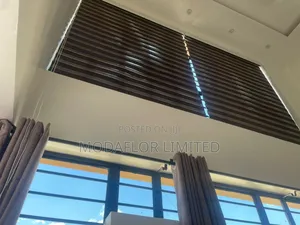 Elegant Zebra Roller Blinds – Modern Day Night Shades