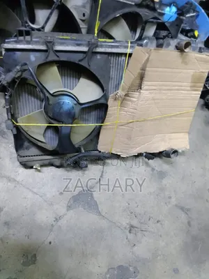 Wish New Model Radiator Ex Japan