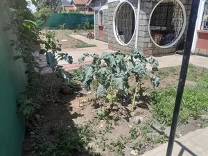 5bdrm Maisonette in Sukari for rent