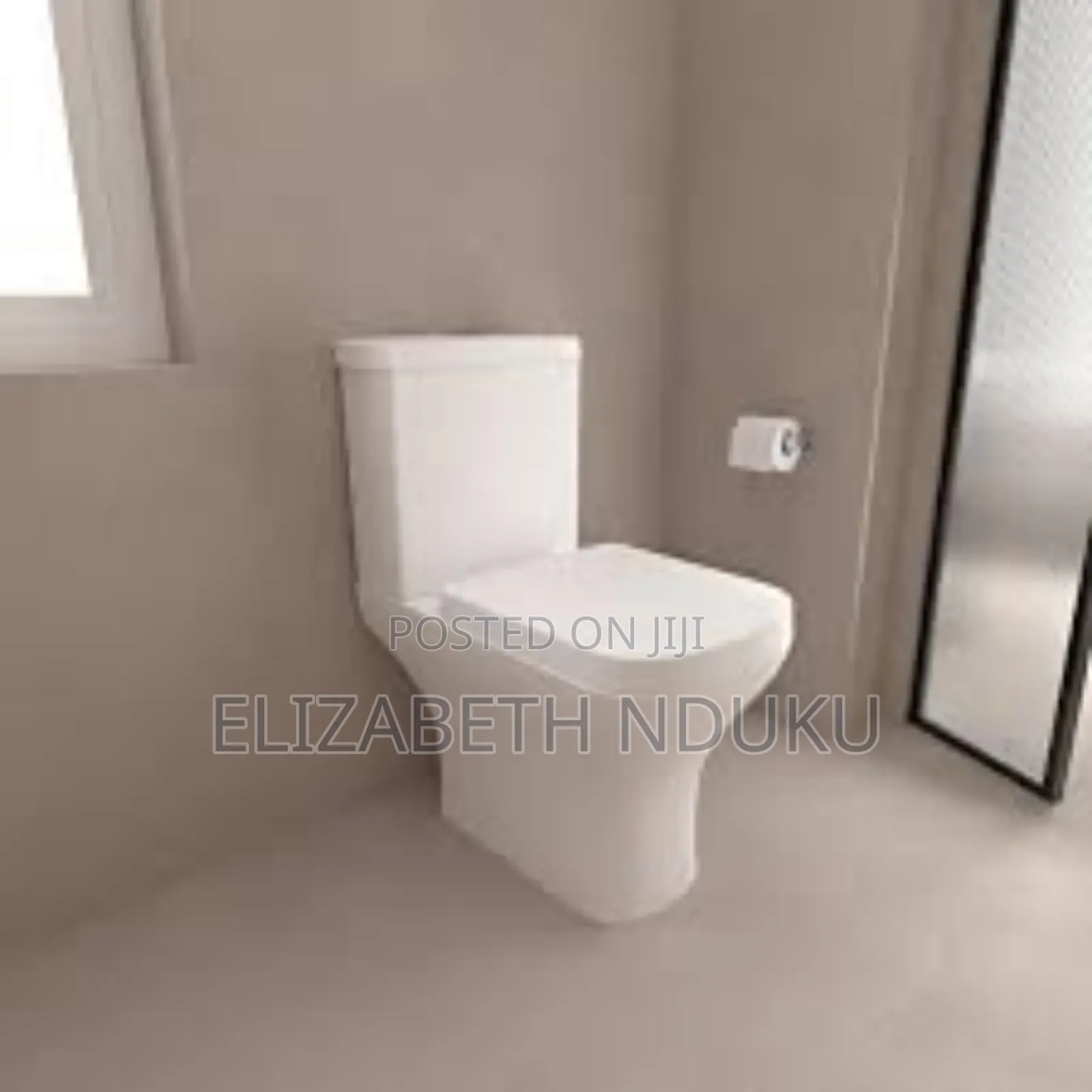 Sleek White Close Couple Toilet Seat