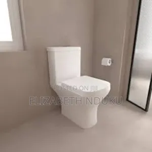 Sleek White Close Couple Toilet Seat