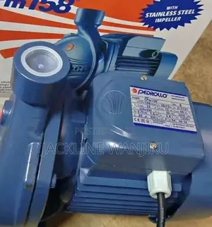 1hp Pedrollo Surface Water Pump