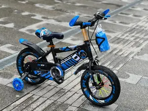 Kids Two-Wheel Bike – Learn to Ride With Confidence