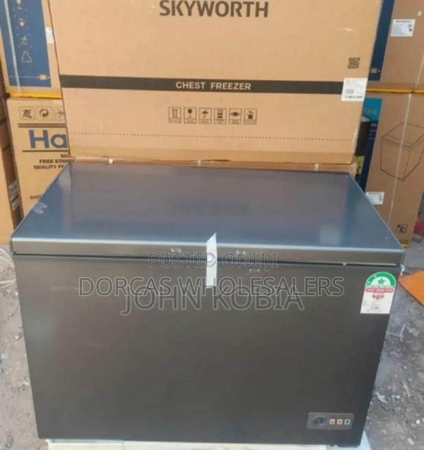 Commercial Skyworth 264l Chest Freezer - main view