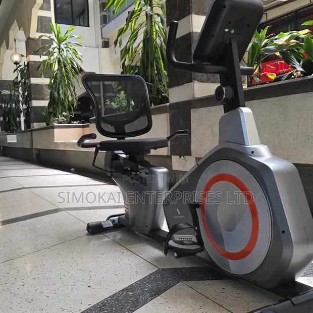 Heavy Duty Touch Sport Recumbent Bike