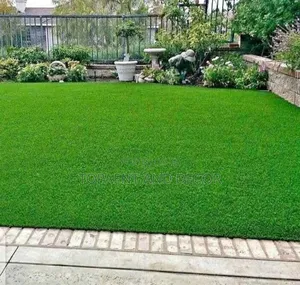 Outdoor Artificial Grass Carpet With No Watering and Hassle
