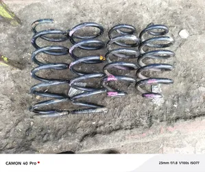 Ferrari 360 Heavy Duty Coil Spring 4000 Each