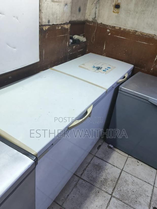Commercial Ramtoms Double Door Deep Freezer