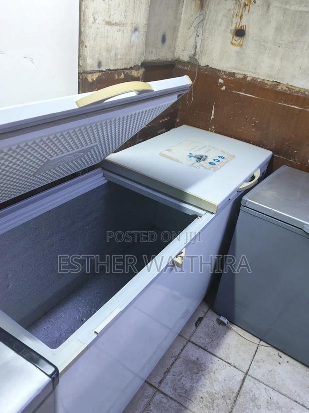 Commercial Ramtoms Double Door Deep Freezer - thumbnail 2