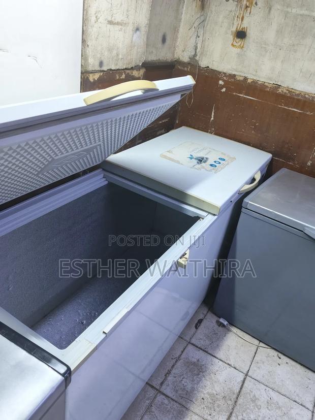 Commercial Ramtoms Double Door Deep Freezer - thumbnail 4