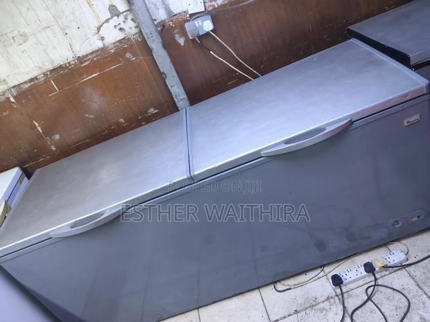 Fully Functional Ramtoms Double Doors Freezer - main view