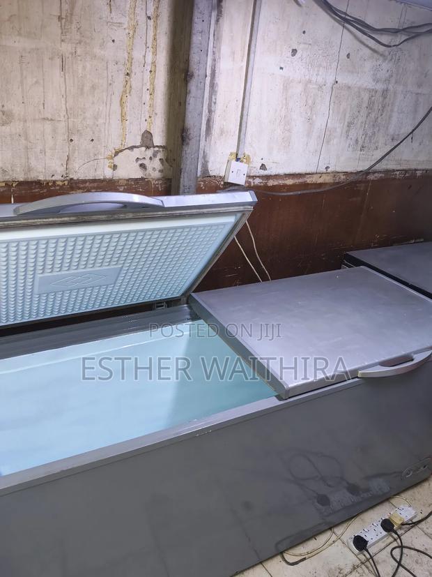 Fully Functional Ramtoms Double Doors Freezer - thumbnail 2