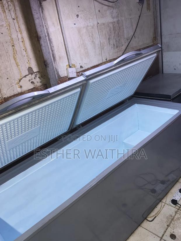 Fully Functional Ramtoms Double Doors Freezer - thumbnail 3