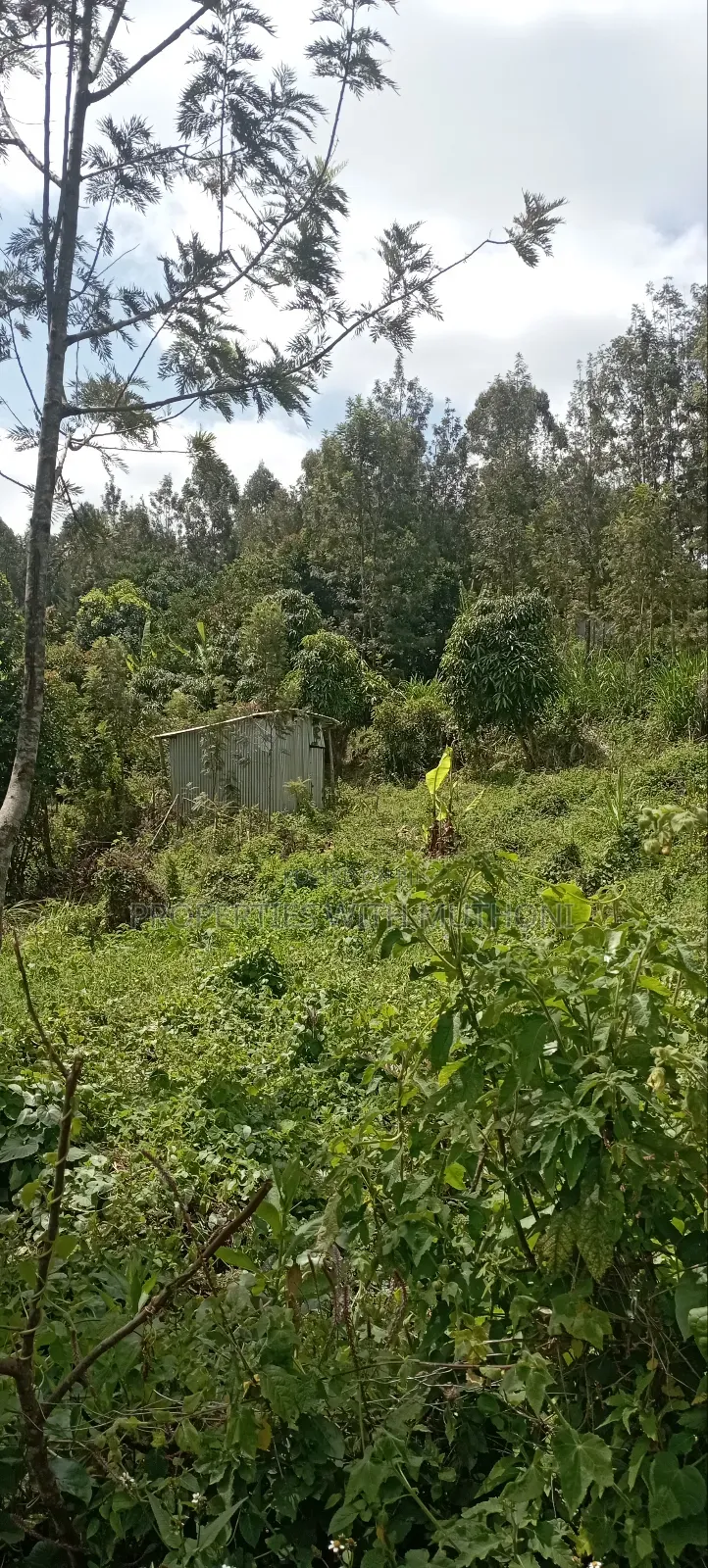 1⁄8acre Plots for Sale in Matasia,Ngong.