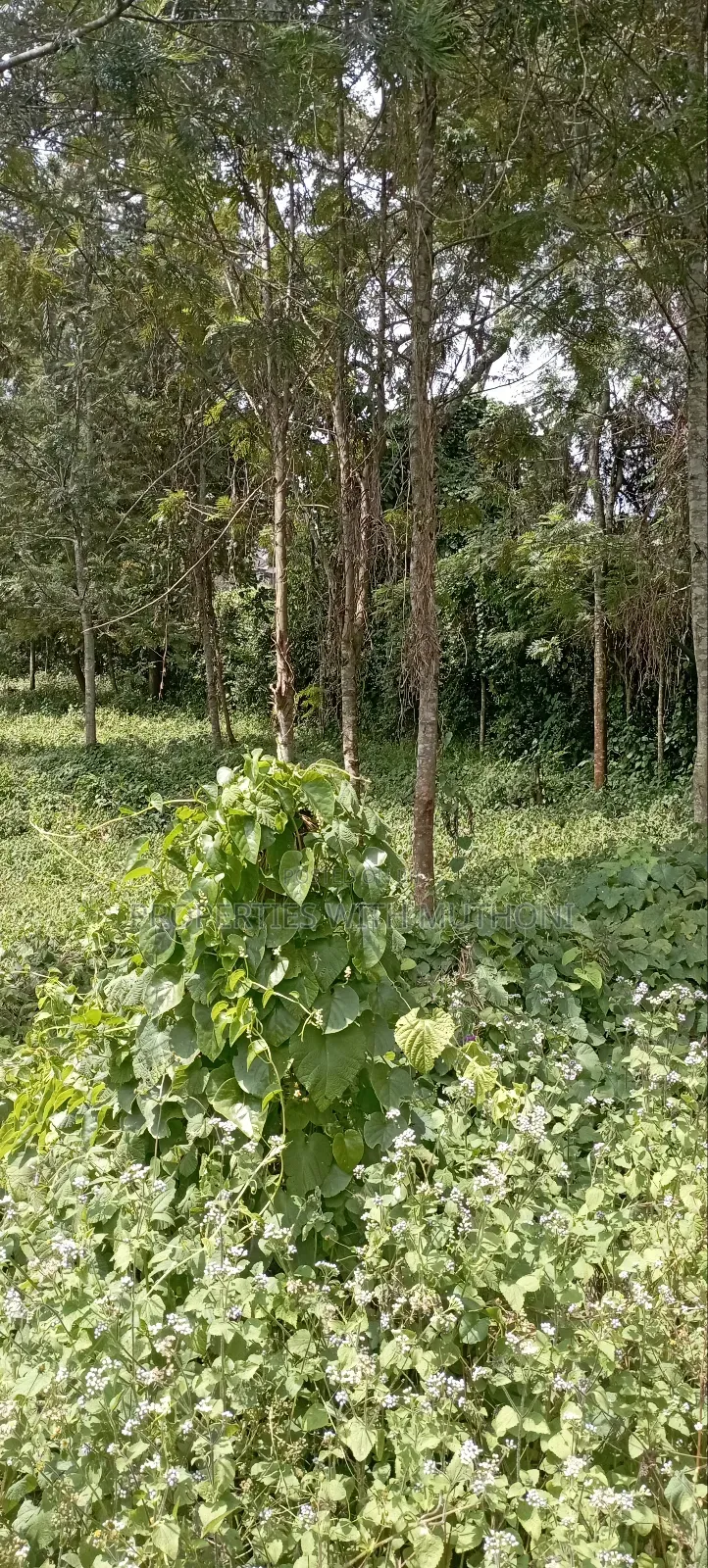 1⁄8acre Plots for Sale in Matasia,Ngong.