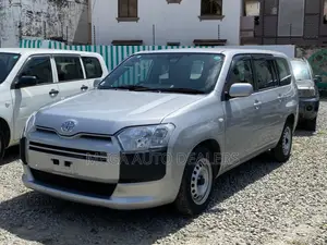 Toyota Probox 2018 Silver