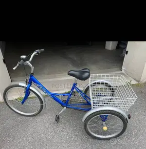Viribus Electric Bicycle.