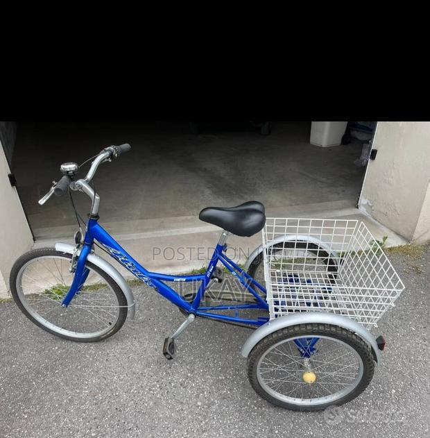 Viribus Electric Bicycle. - main view