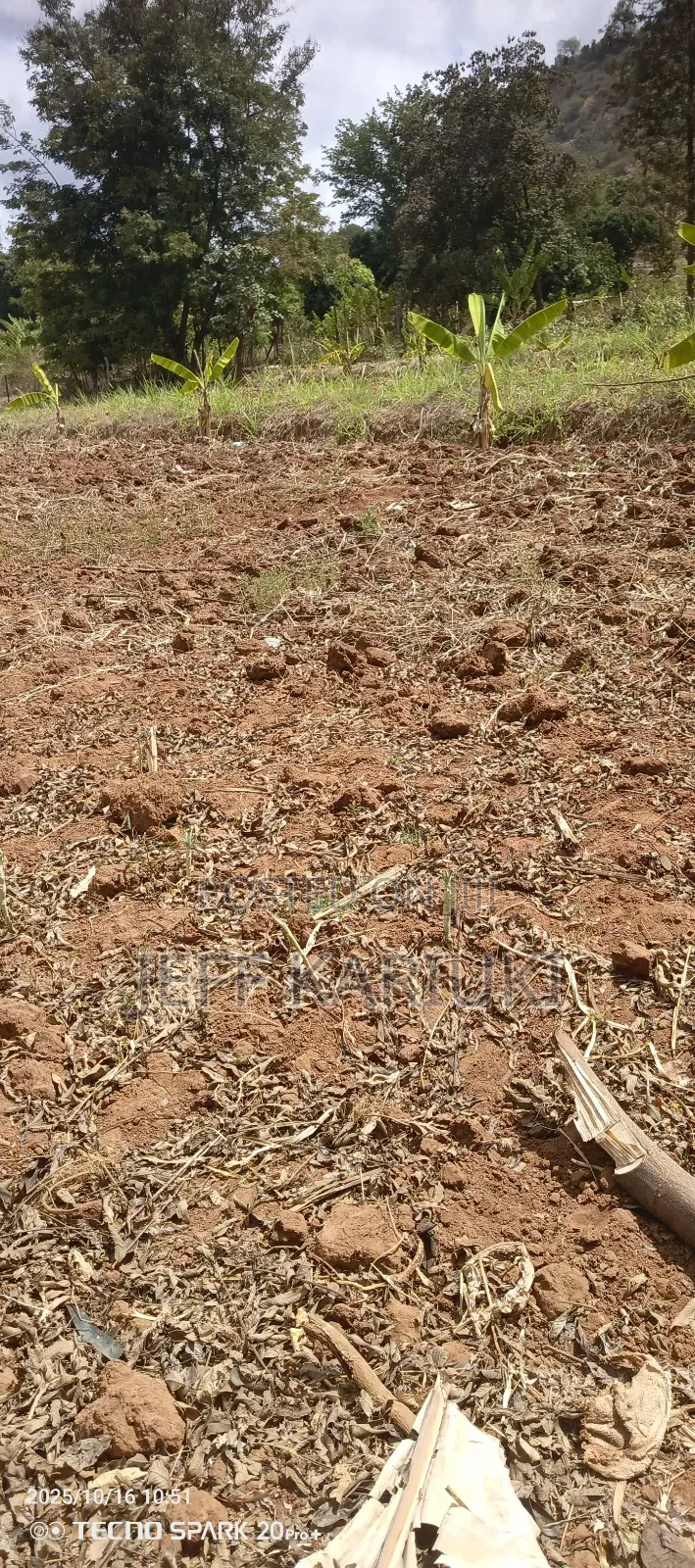 Land in Siakago