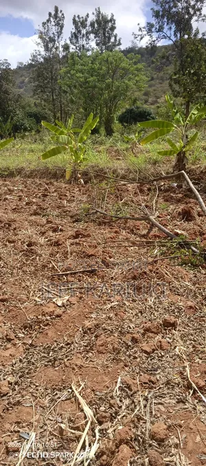 Land in Siakago