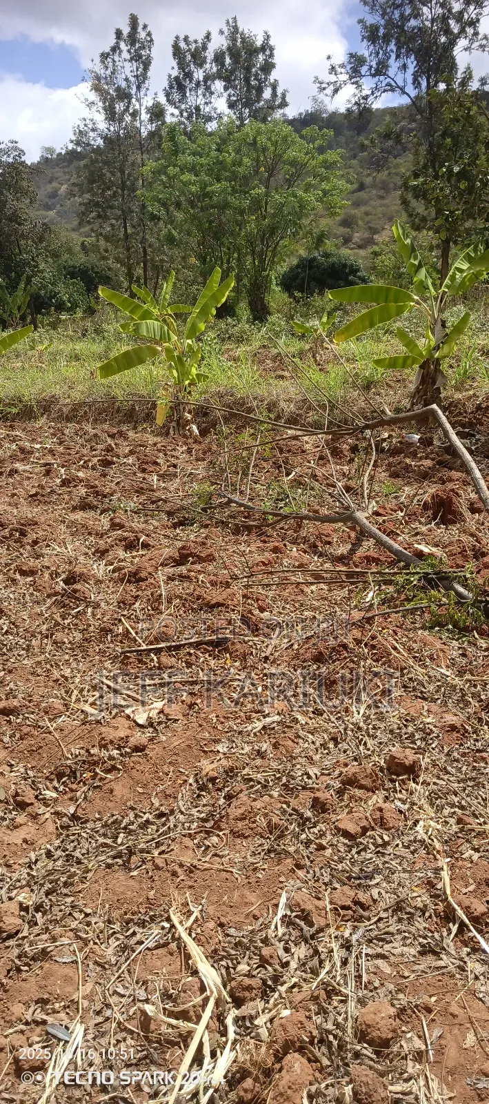 Land in Siakago