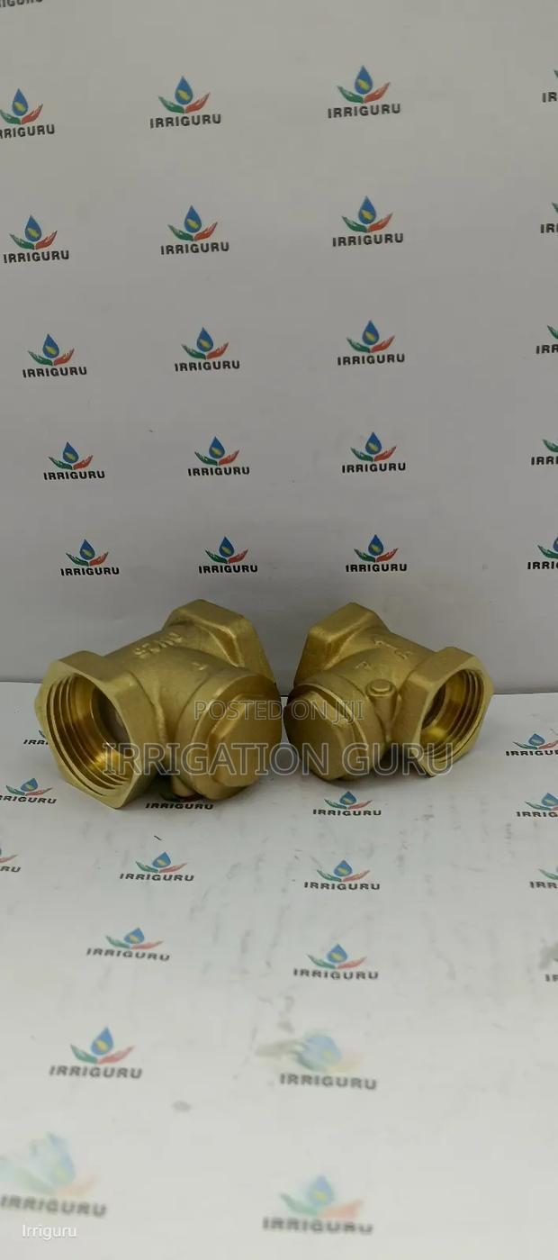 Anti Backflow Valve 50mm - main view