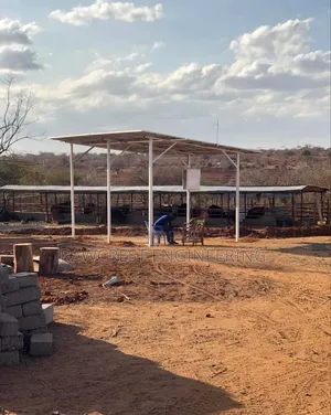 Sborehole Solarisation Experts